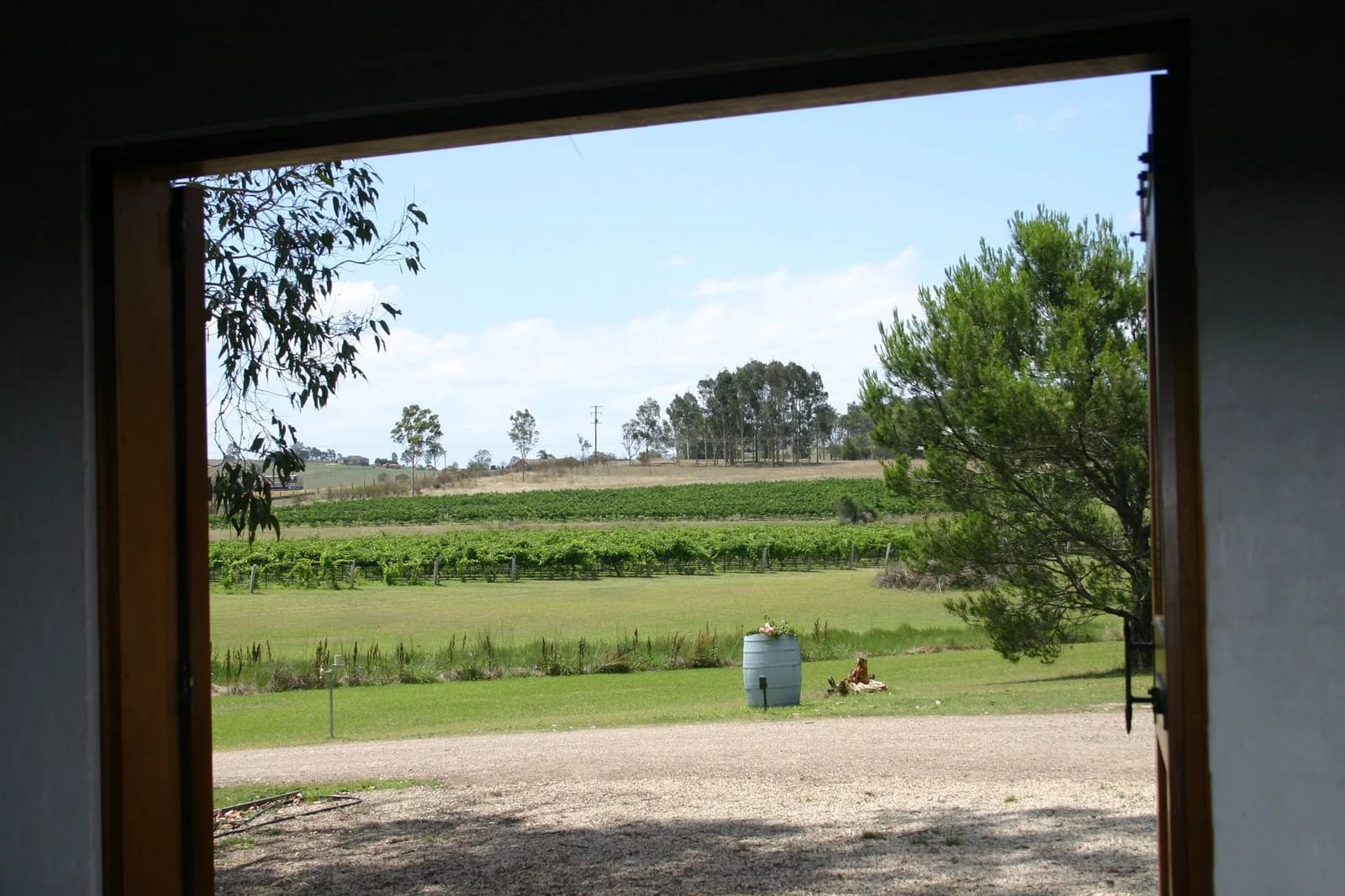 Vineyard view framed by cellar door opening at Pierres Wines, Branxton, Hunter Valley