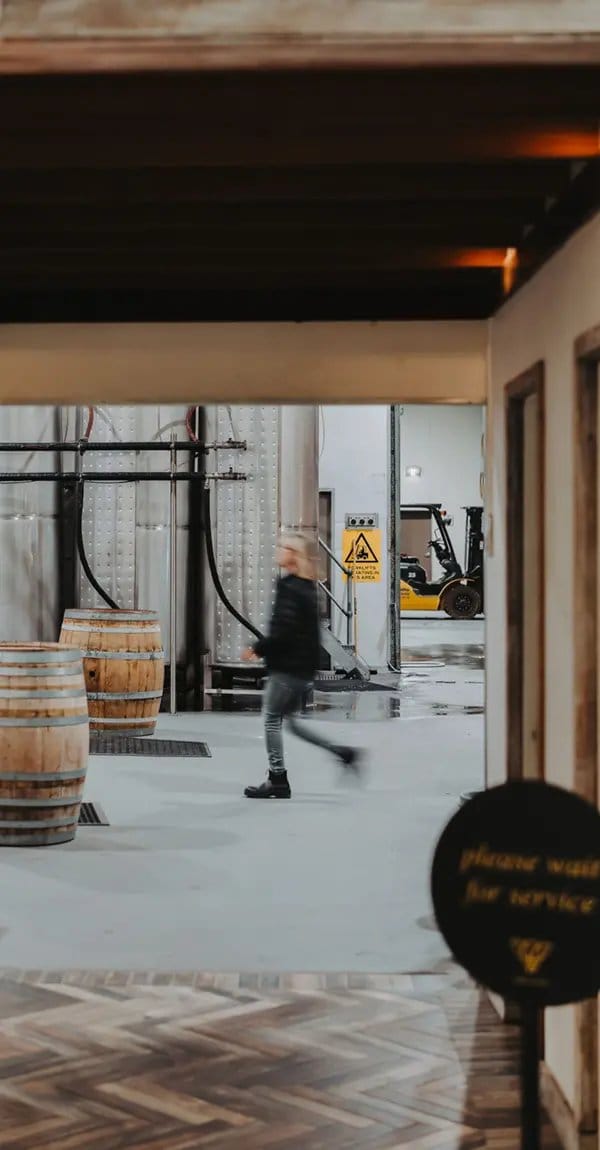 Wine production facility with barrels and stainless tanks