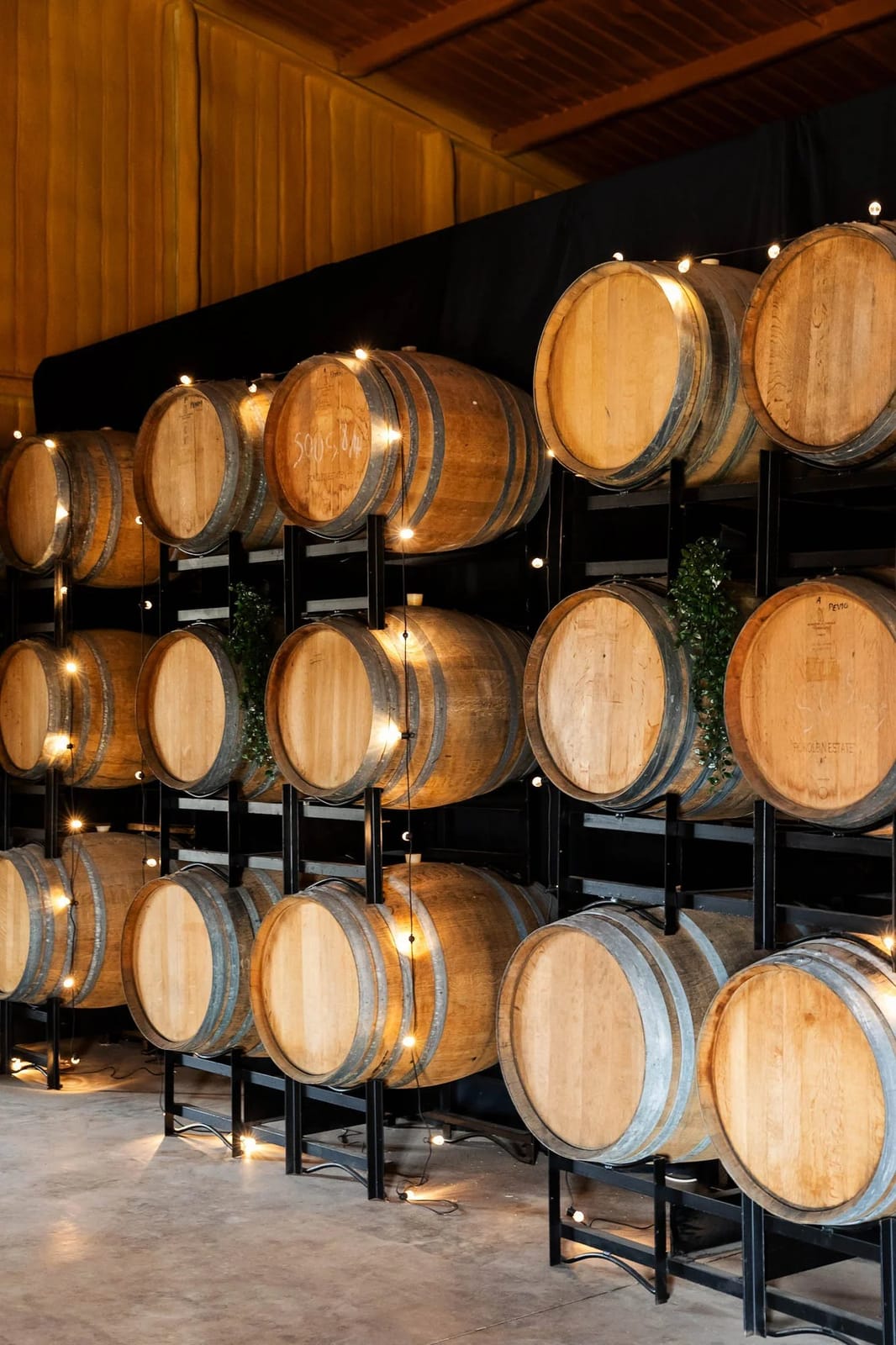 Oak barrels in rows under warm lighting