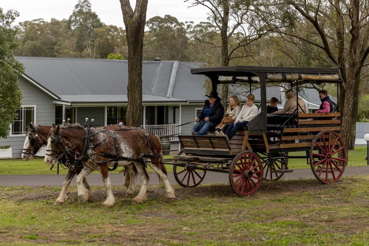 Horse-drawn carriage at Pokolbin Estate, Hunter Valley