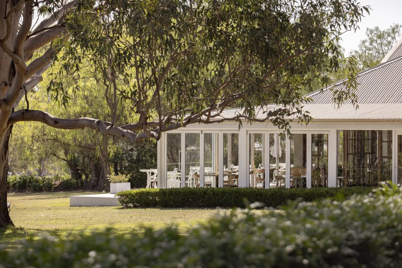 Glass-walled pavilion across the lawn through gum branches at Restaurant Botanica, Pokolbin, Hunter Valley