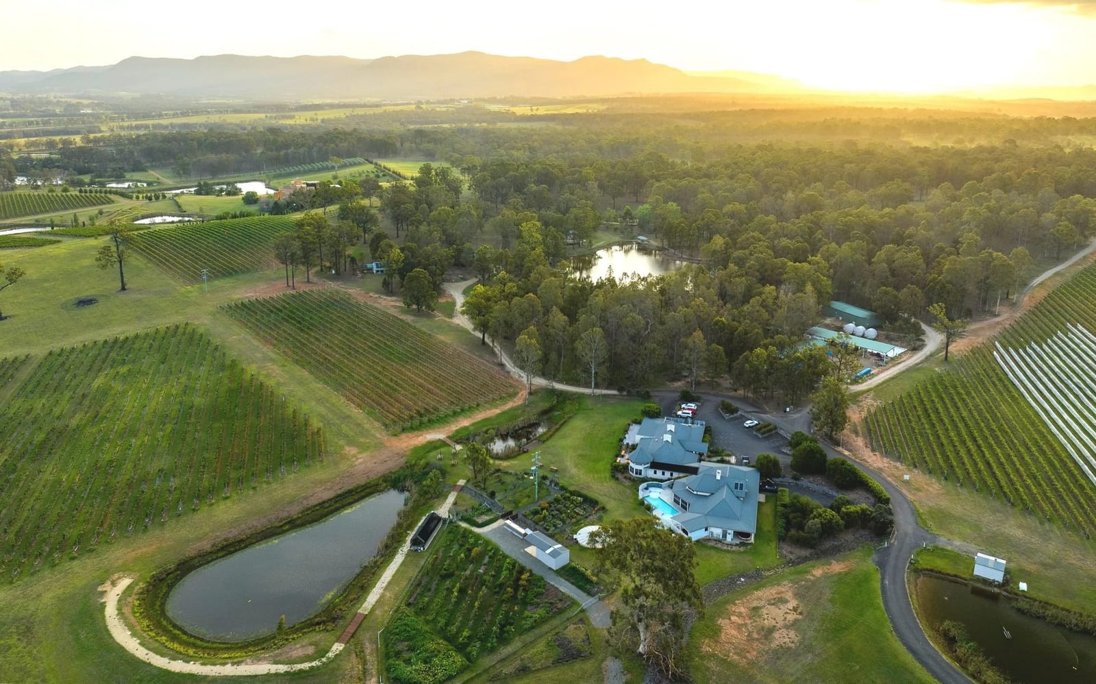 Aerial view of winery estate with vineyards and buildings at sunset at RidgeView, Pokolbin, Hunter Valley