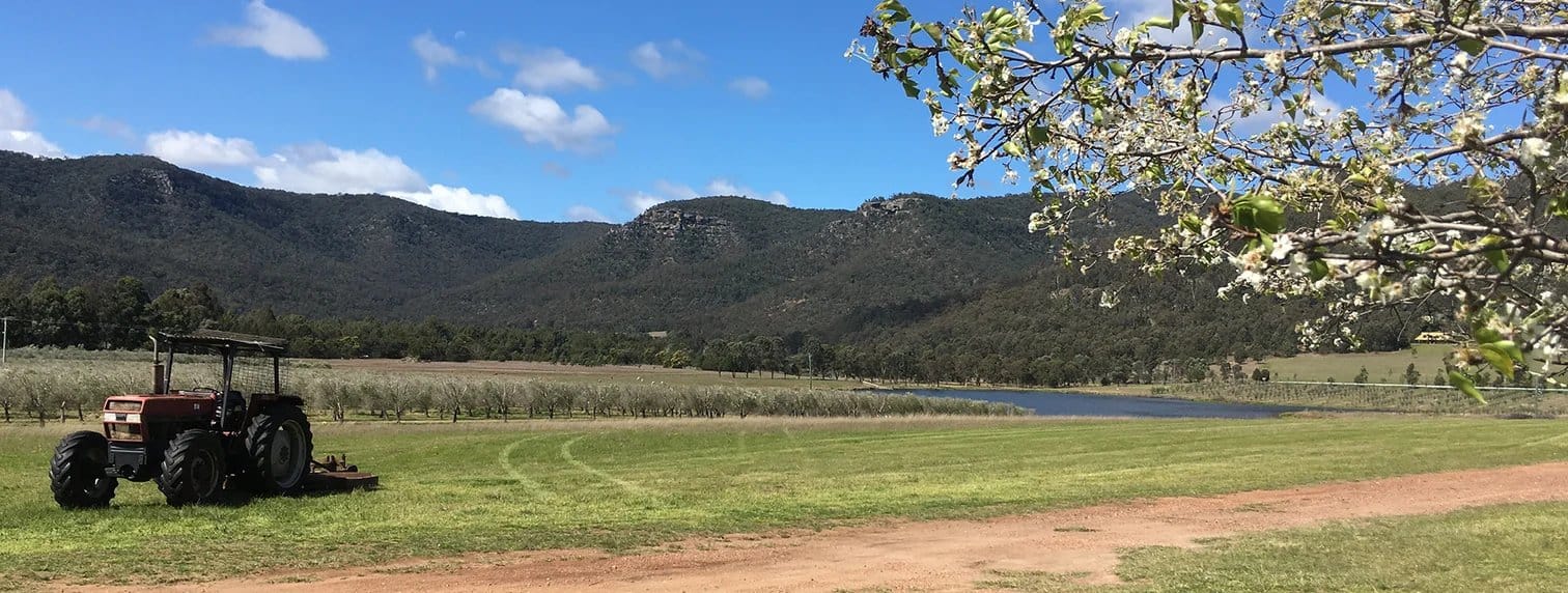 Red tractor in pastoral field with river and mountains at River Flats Estate, Broke, Hunter Valley