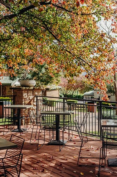 Outdoor terrace seating under autumn-coloured tree foliage at Ronnie's, Pokolbin