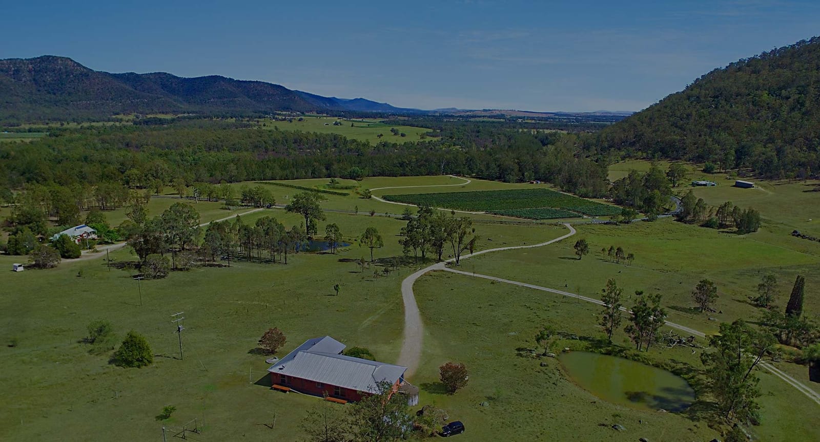 Aerial view of estate vineyard with forested hills at Rosamund Hill Estate, Broke, Hunter Valley