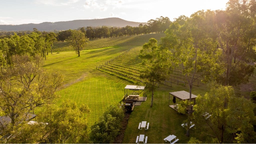 Aerial view of vineyard with scattered buildings and eucalyptus trees