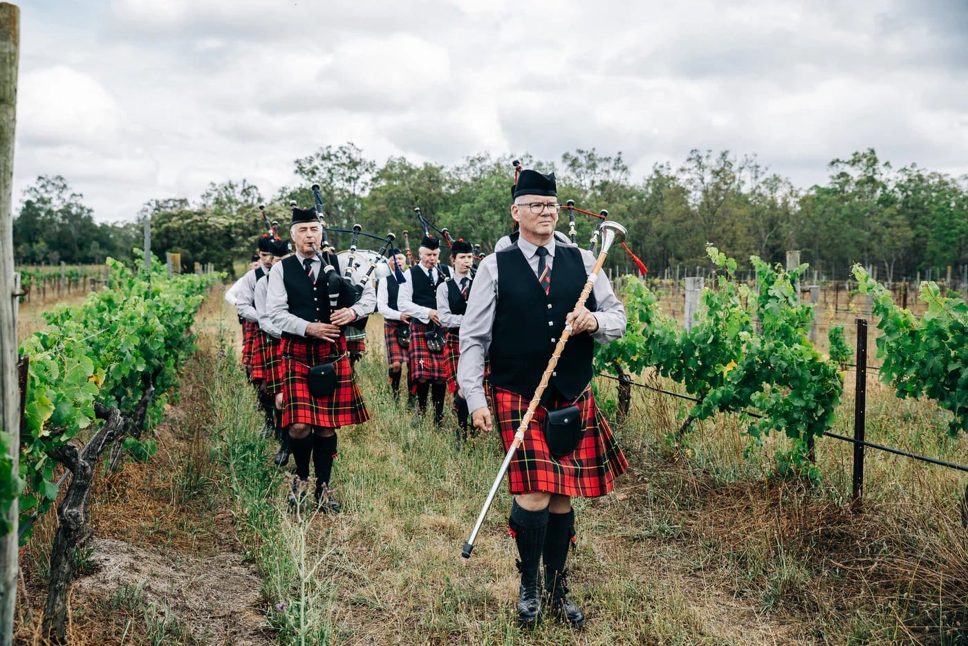 Bagpipers in traditional dress among vineyard rows
