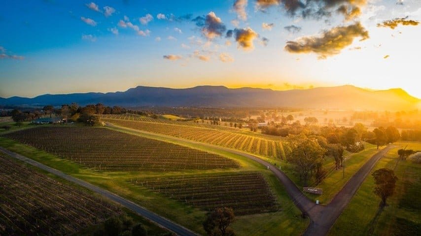 Aerial view of Scarborough Gillards Road vineyard at sunset
