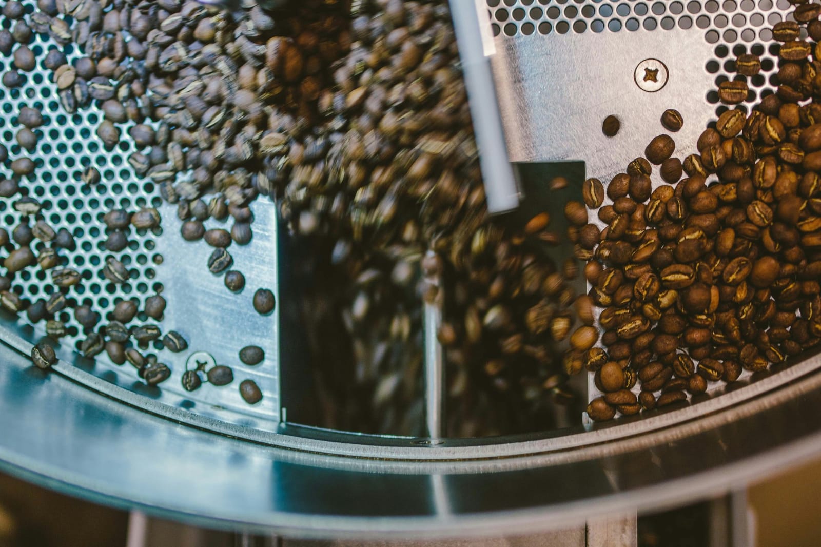 Roasted beans tumbling in the cooling tray of the roaster