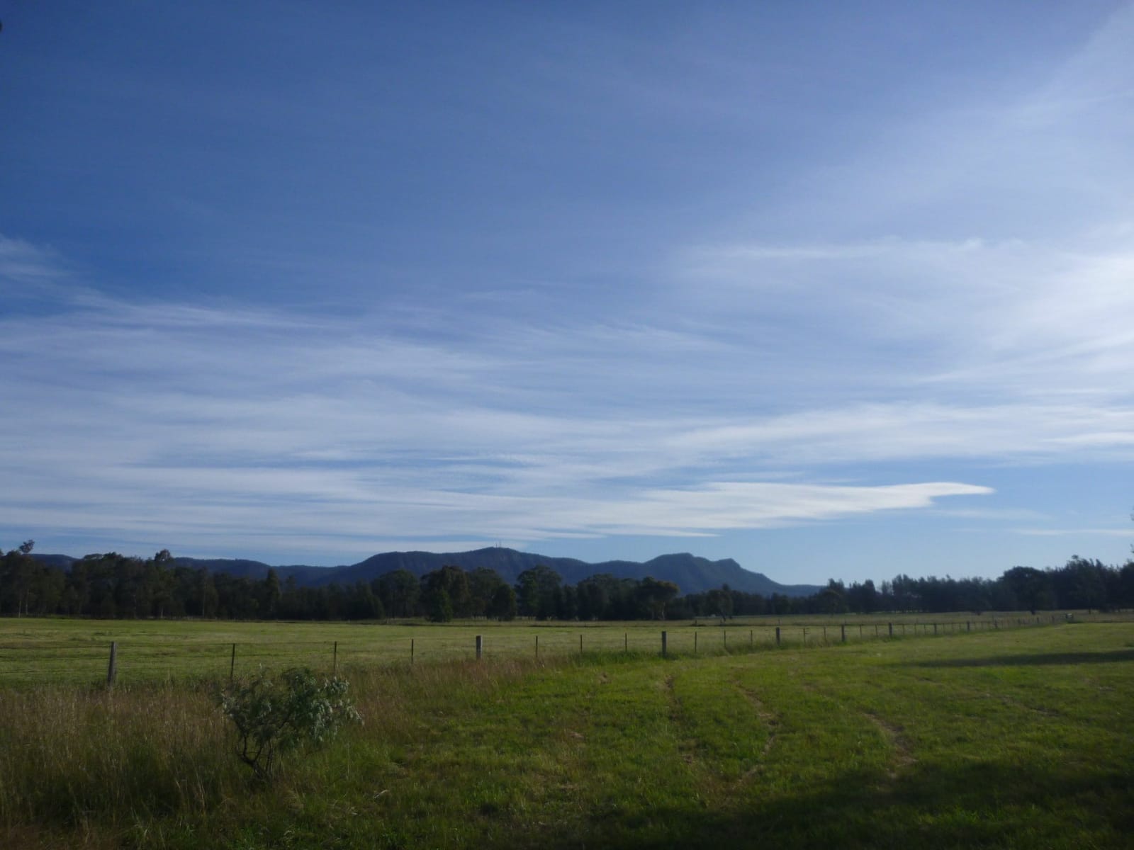 Paddocks and the Brokenback Range from the property