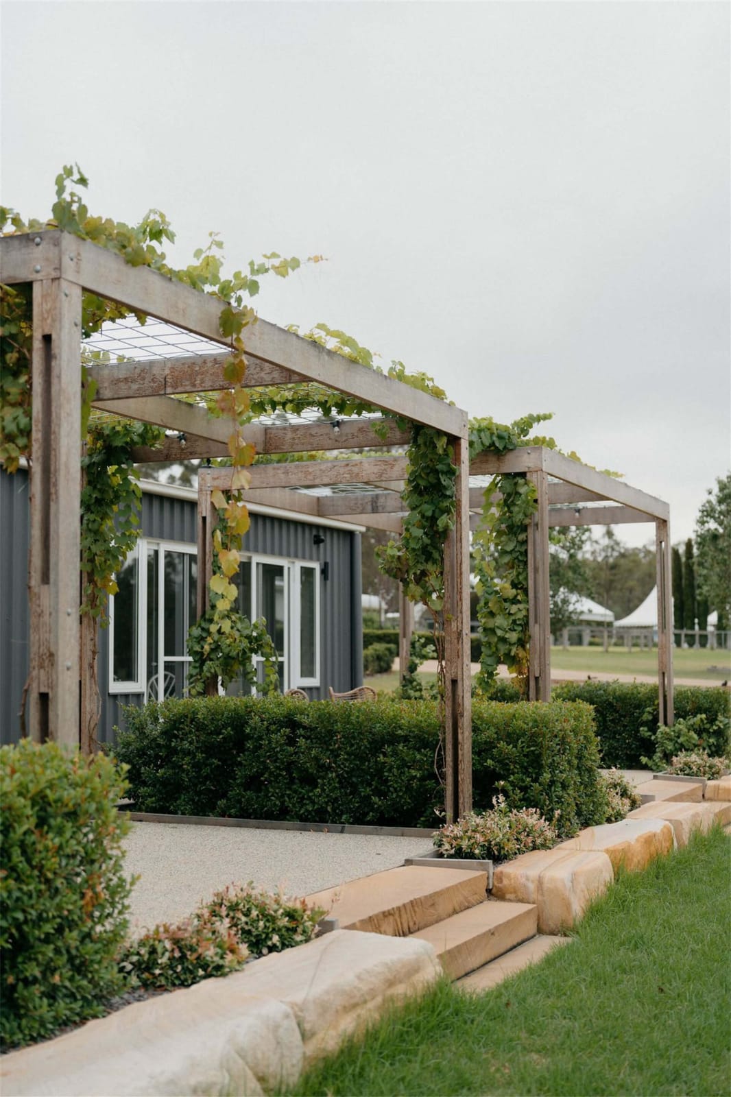 Vine-covered timber pergola leading to a building at Squires Vineyard, Belford, Hunter Valley