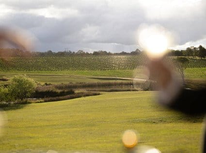 Pastoral vineyard landscape with green fields, mature trees and waterway at Squires Vineyard, Belford, Hunter Valley