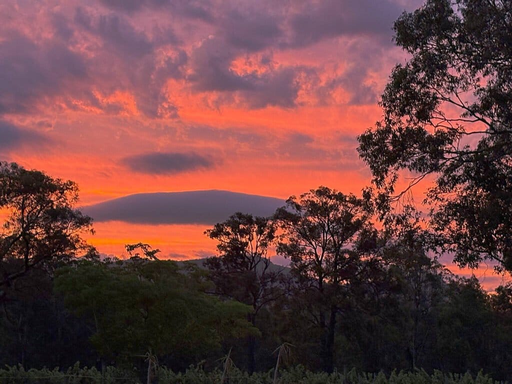 Sunset over the Honeytree vines