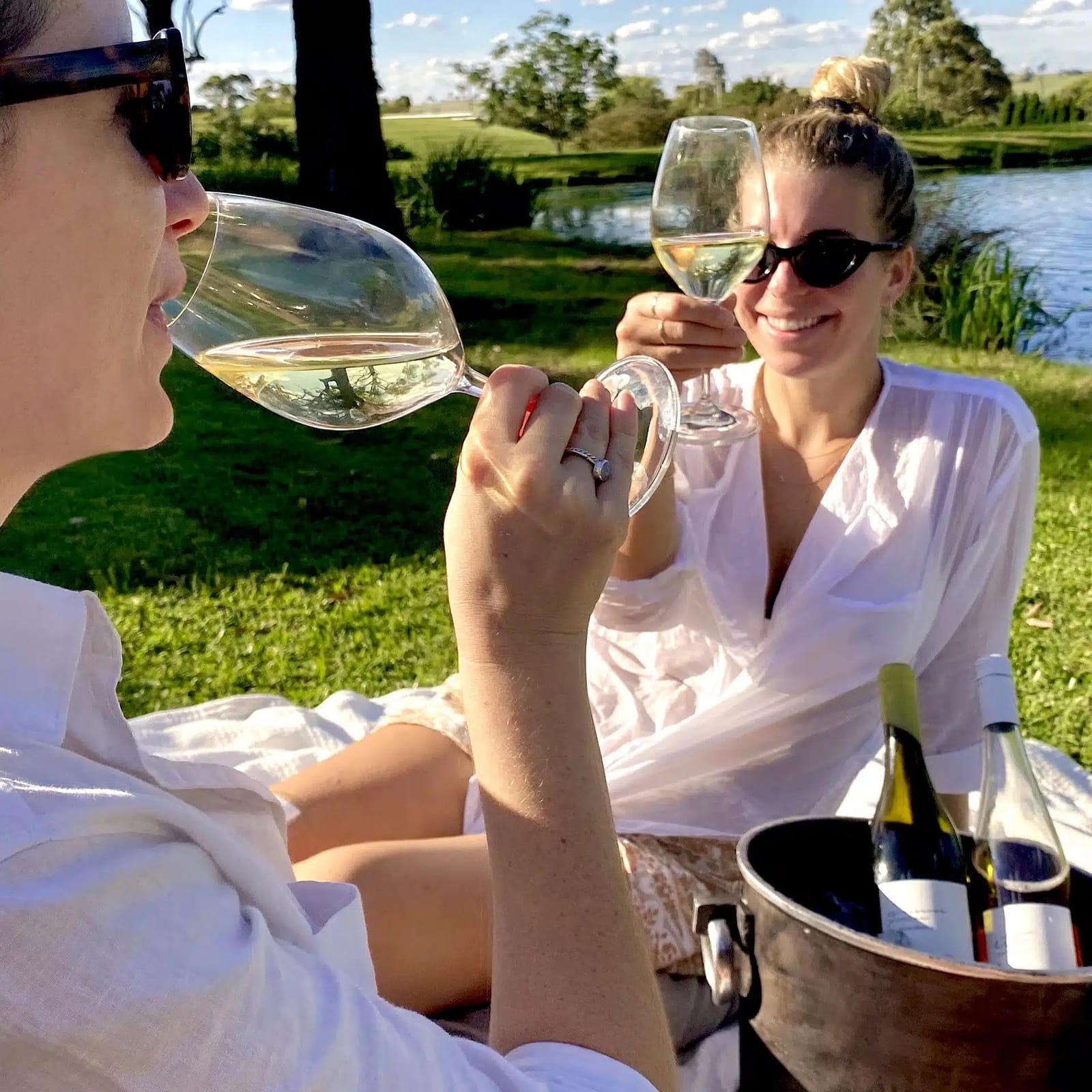 People toasting outdoors with wine glasses over countryside