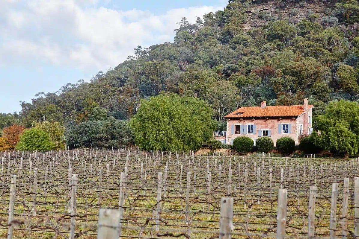 Pink building overlooking vineyard rows with forested hills