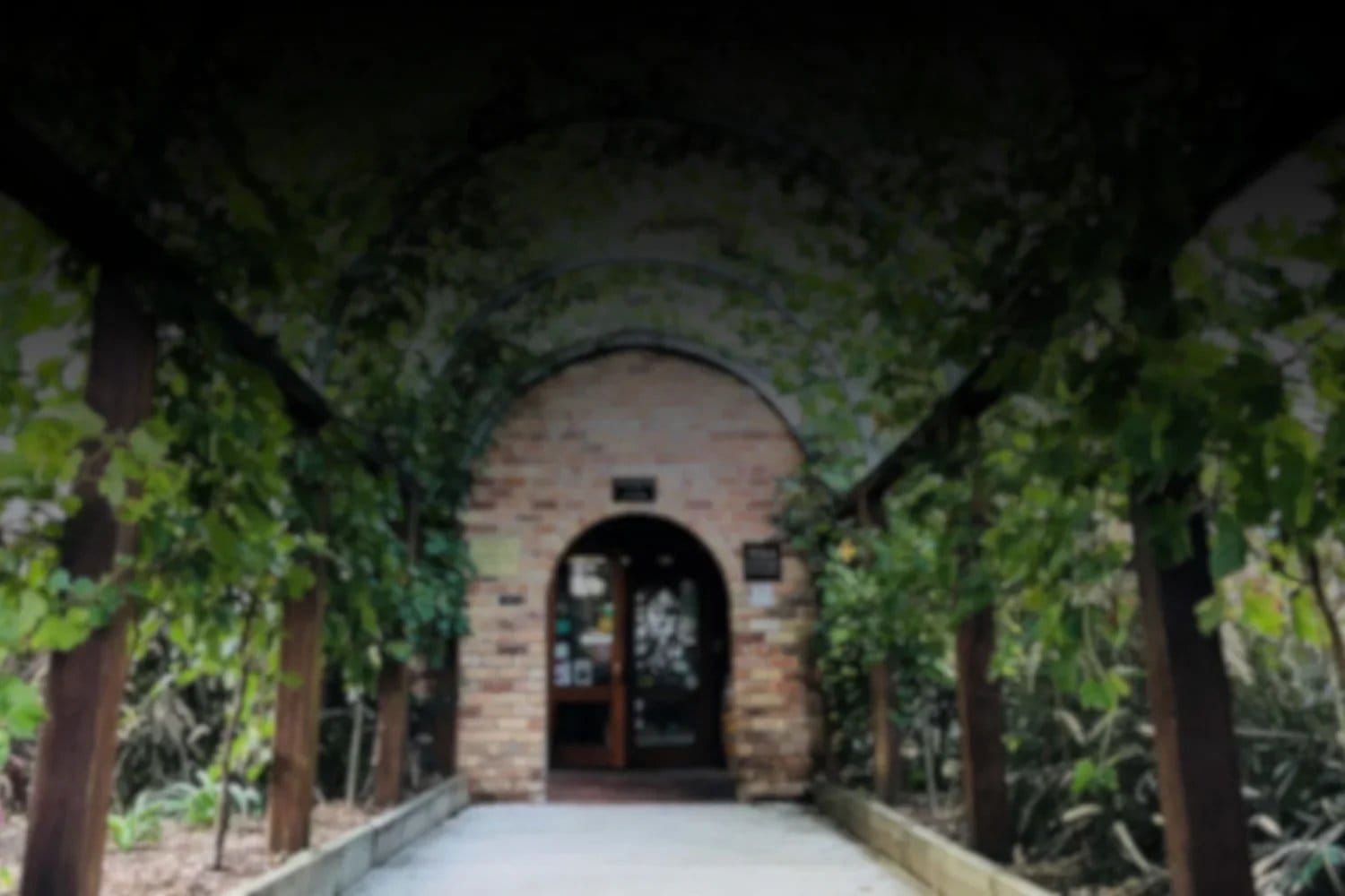 Arched brick entrance to cellar door under vine-covered walkway at Tamburlaine, Pokolbin, Hunter Valley