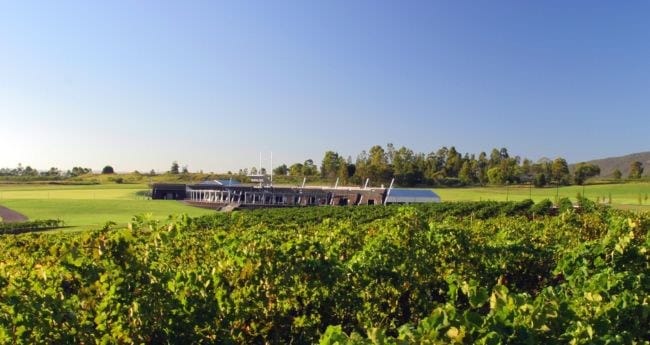 The Tempus Two pavilion at Roche Estate seen across the vines