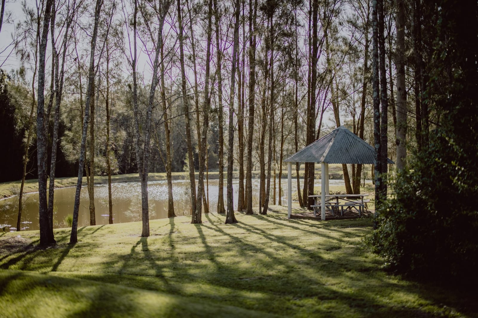 Gazebo overlooking pond among tall trees at Thistle Hill Guesthouse, Broke, Hunter Valley