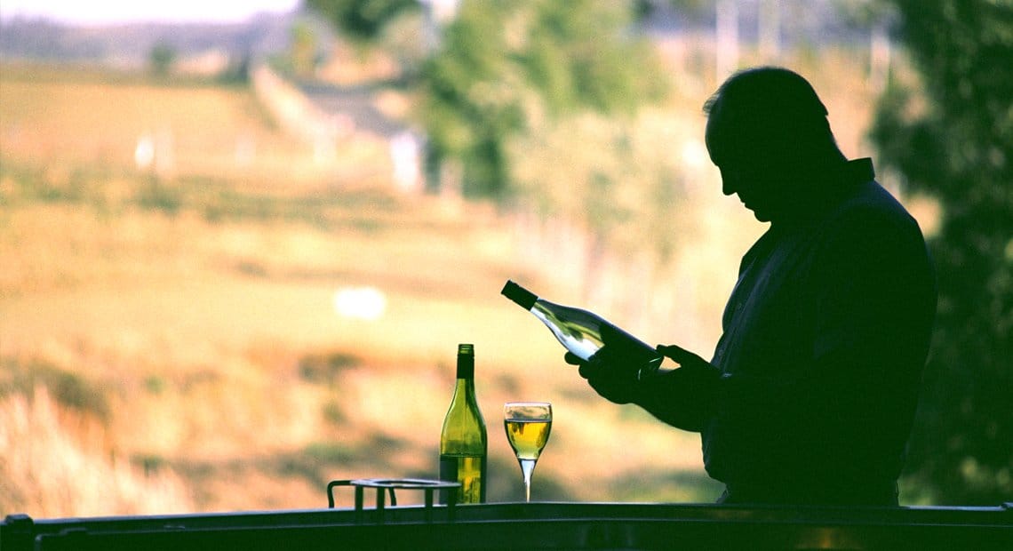 Silhouette of person holding wine bottle against vineyard landscape