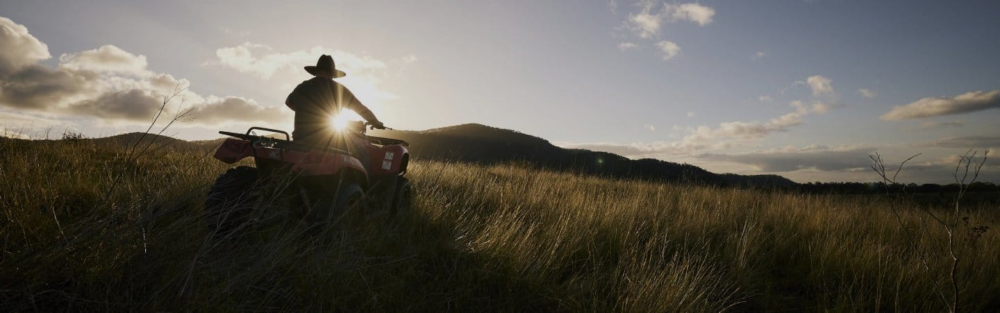 A rider on a quad bike looking across the estate paddocks at sunset