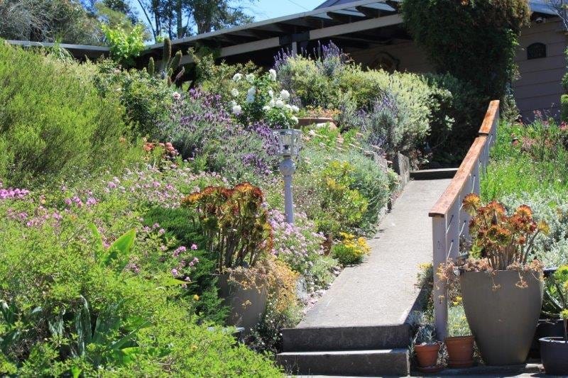 Cottage exterior with spring gardens and flowering plants at Valley View Cottage, Pokolbin, Hunter Valley