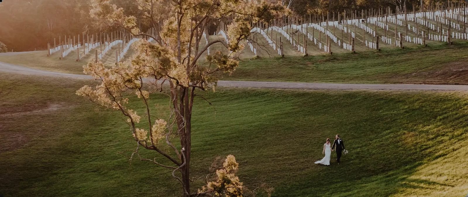 Spacious property grounds with scattered mature trees and vineyard visible