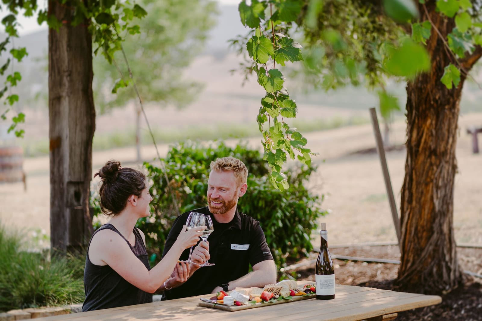 Two visitors touching glasses over a cheese board at an outdoor table under the vines