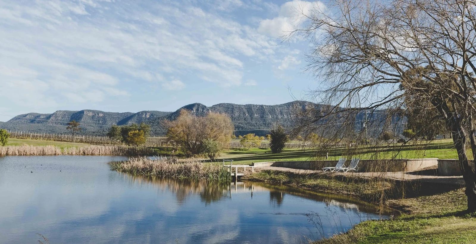 The estate's dam and surrounding vineyard with the Brokenback Range behind