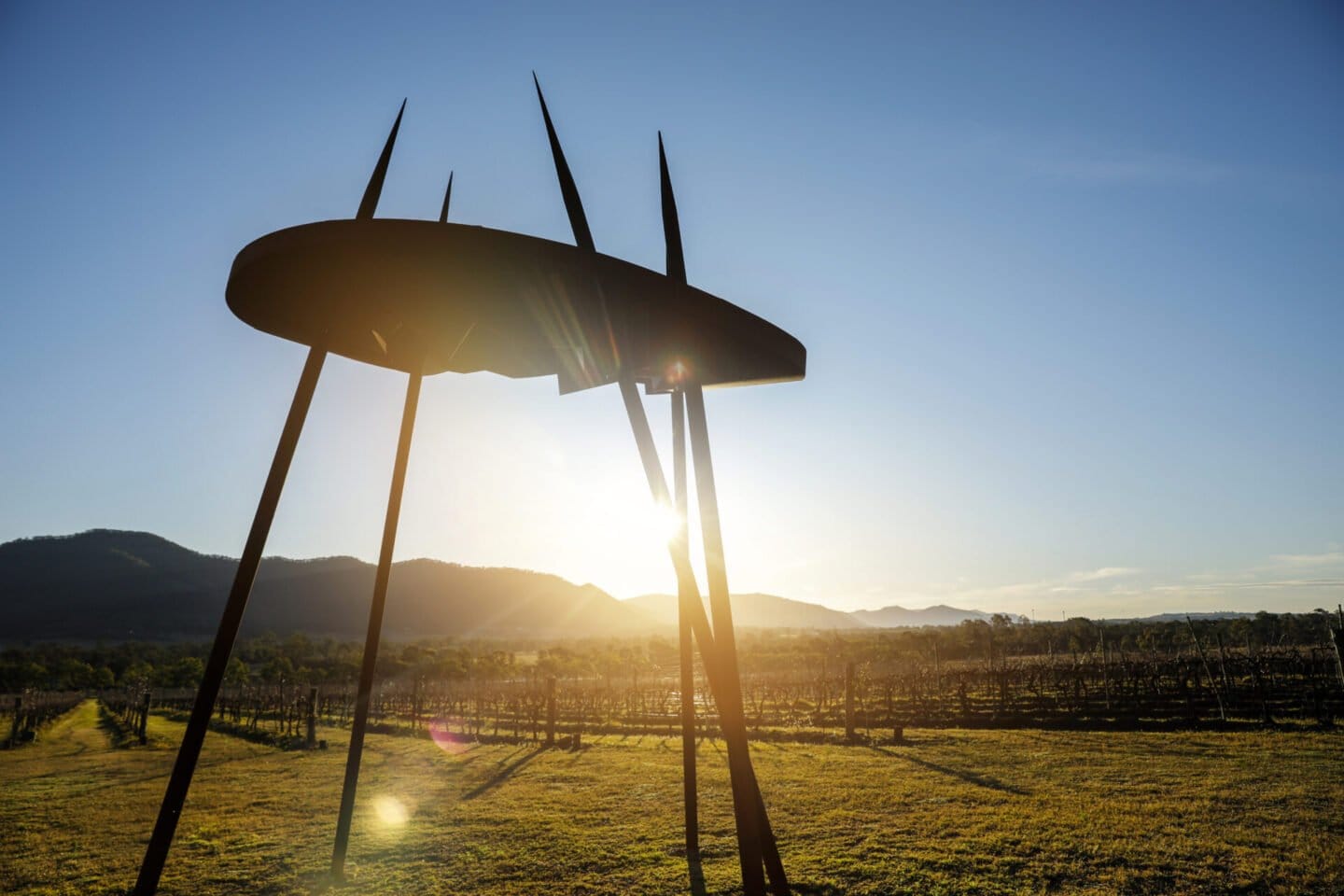 Metal sculpture at sunset framed against vineyard landscape