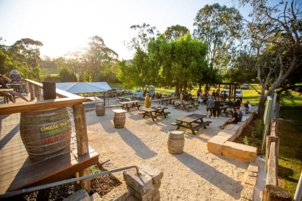 Outdoor beer garden with barrel tables, market umbrellas and picnic seating at Wollombi Tavern, Wollombi, Hunter Valley