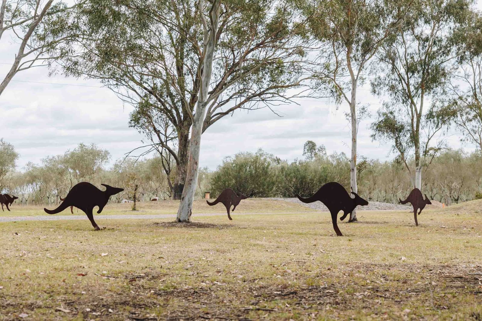 Steel kangaroo silhouettes standing under gum trees on the Wombat Crossing property